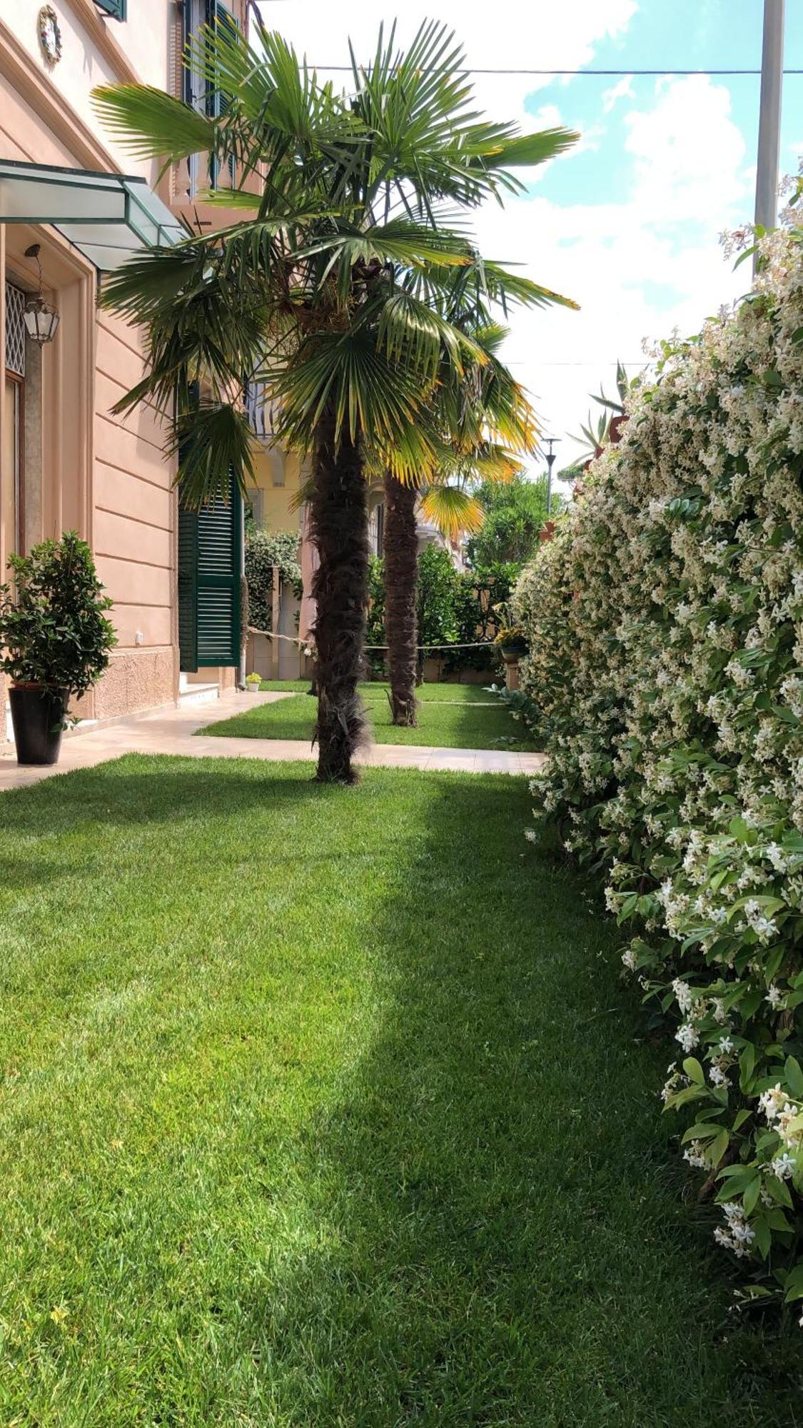 Apartament Monolocale Pura Vida Viareggio Zewnętrze zdjęcie