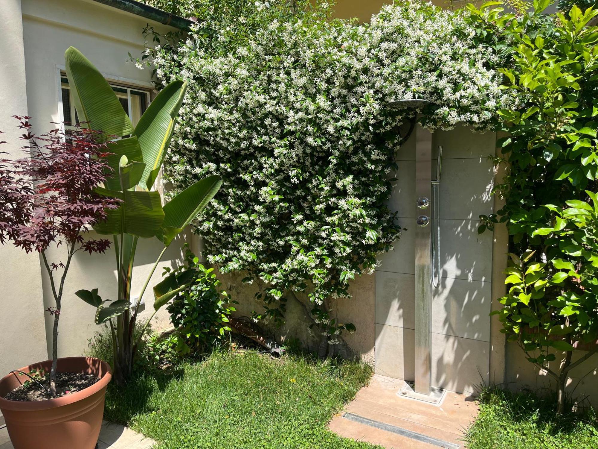 Apartament Monolocale Pura Vida Viareggio Zewnętrze zdjęcie